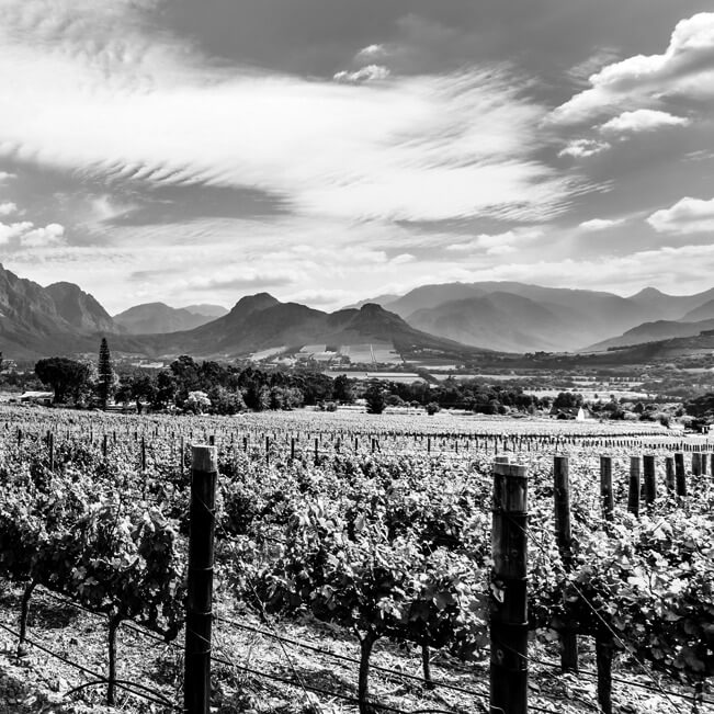 680b71279b328-5b601b4434db0-Valley of Wine